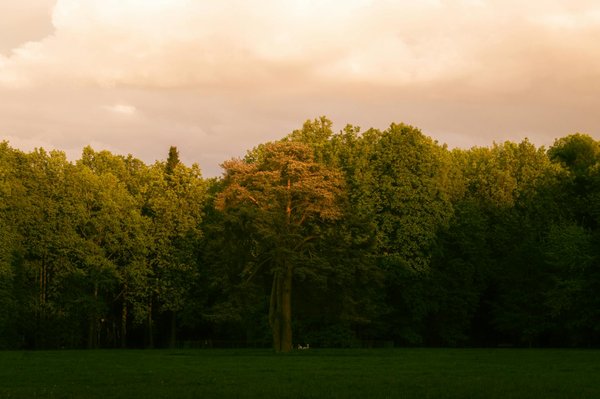 Welche ErnÃ¤hrungsumstellungen kÃ¶nnen Senioren helfen gesÃ¼nder zu leben?
